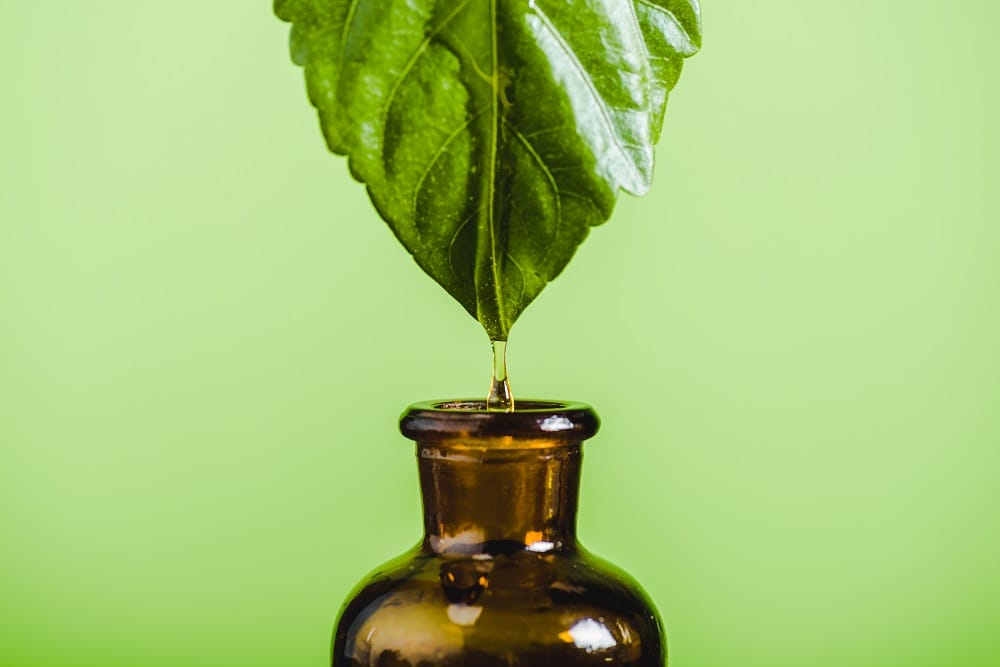 Herbal Supplements on the Rise