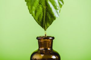 Expand Your Customer Base with Vegan Supplements