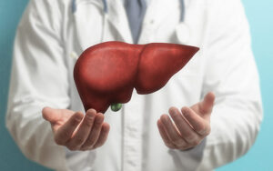 Liver Support Ingredients