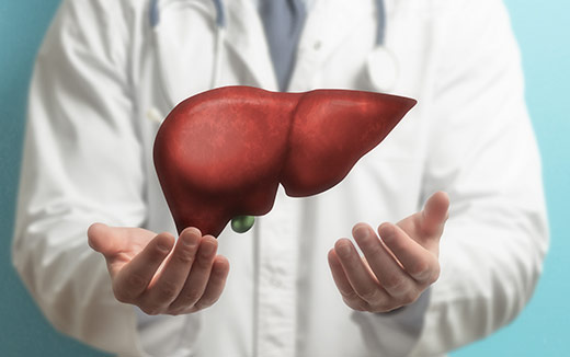 Liver Support Ingredients