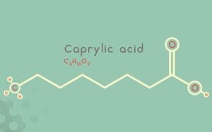 Antifungal supplement Formula