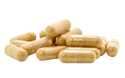 Capsule Manufacturing