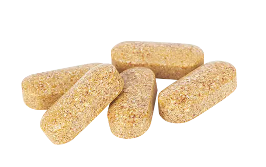 Vitamin Manufacturing